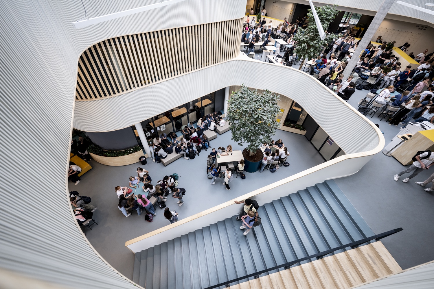 Portfolio header image visual