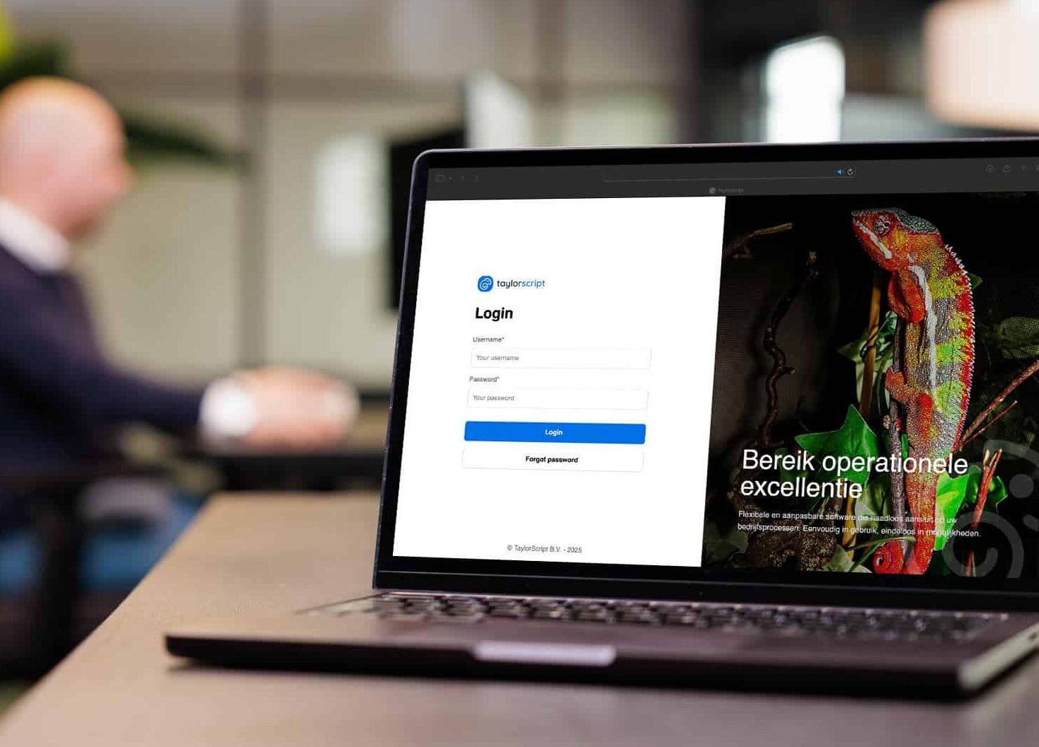 Portfolio header image visual